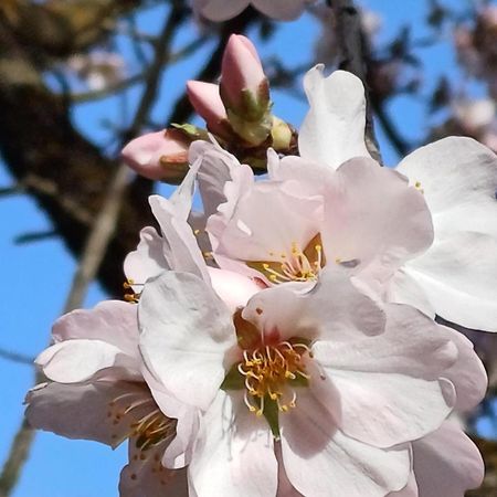 Priorat Ca La Iolanda "Relax Escalada Y Naturaleza" La Vilella Baixa Kültér fotó