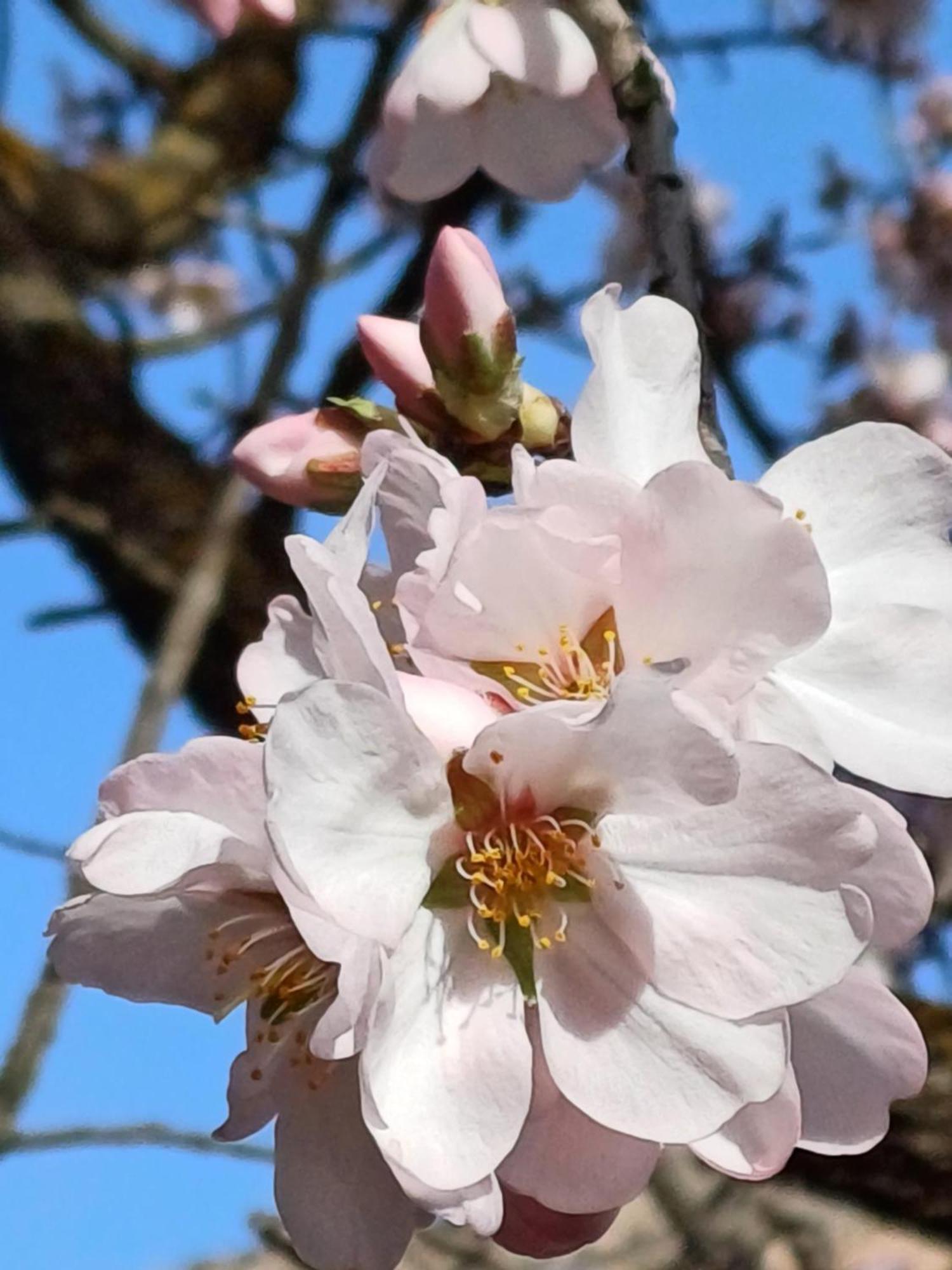 Priorat Ca La Iolanda "Relax Escalada Y Naturaleza" La Vilella Baixa Kültér fotó